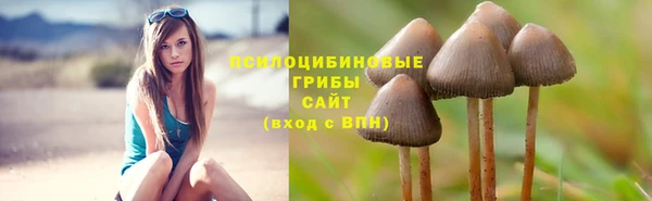 2c-b Богородицк